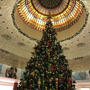 Meet your Posher, Claire